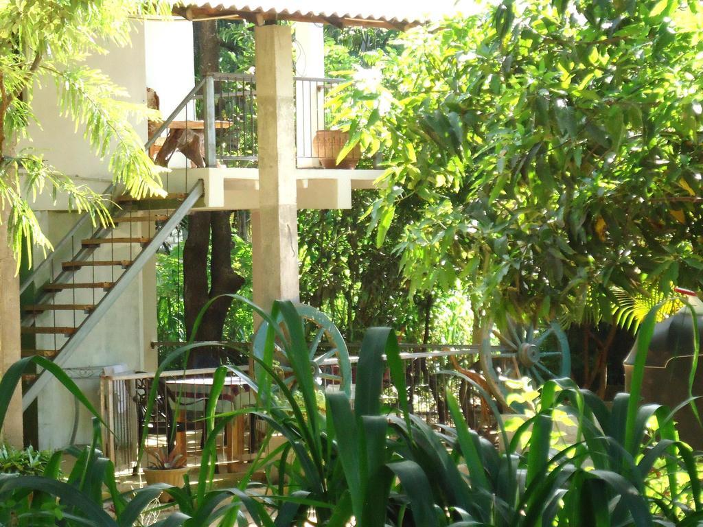 Casa Dambulla Boutique Villa Eksteriør billede